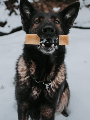 Himalayan Dog Chews Size XL 1 Piece
