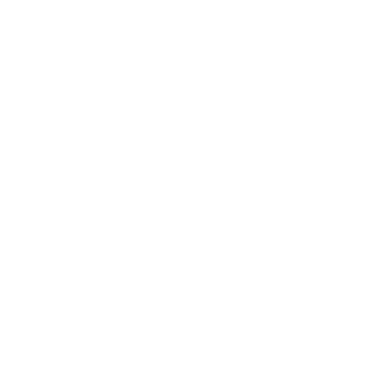 logo light